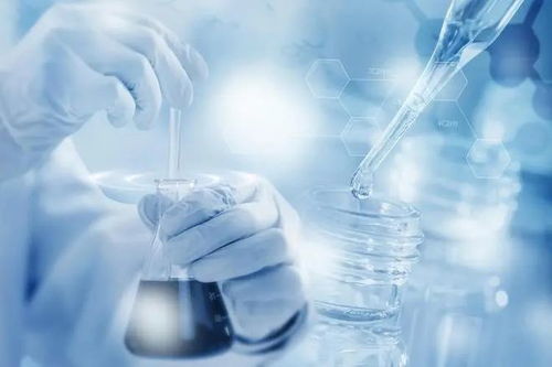 公司轉讓商標權給其他企業應如何繳納增值稅 關鍵要點與技術咨詢