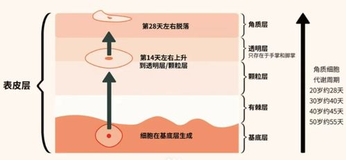 2024祛斑段位榜 寶藏級產品親測，還你干凈無瑕肌膚